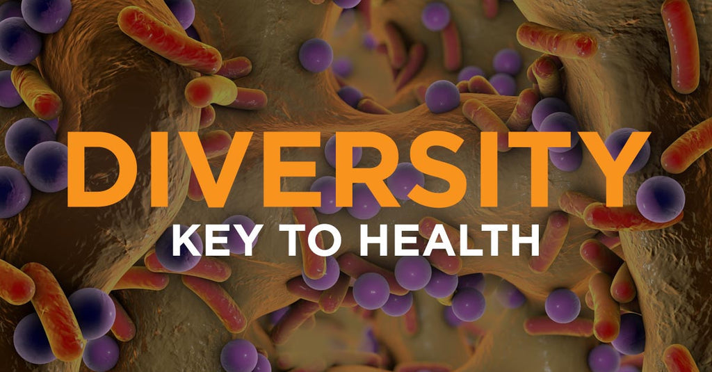 Healthy Gut Bacteria – Diversity is the Key