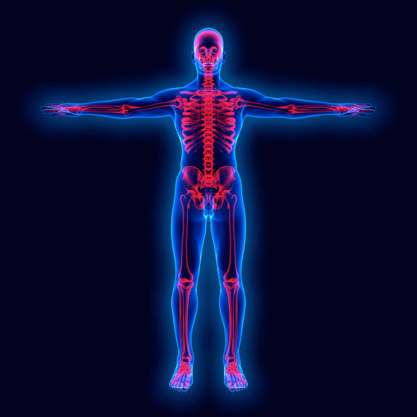 Top 10 Foods That Cause Inflammation