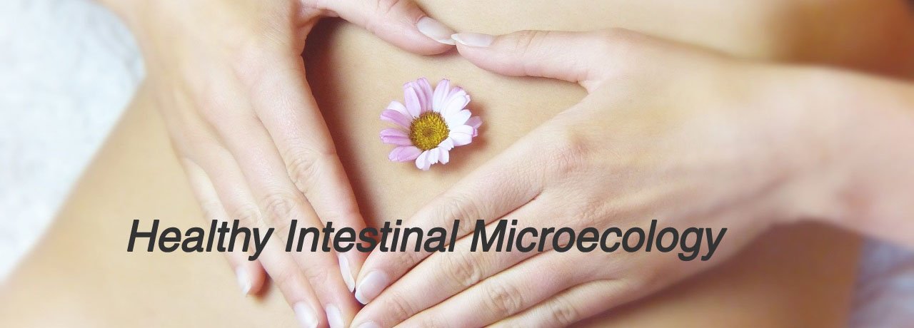 Helps Maintain a Healthy Intestinal Microecology
